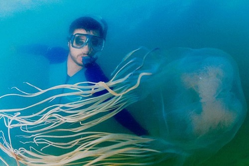매거진(5 jellyfish).jpg