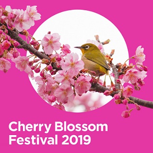 웟츠온(CherryBlossomFestival).jpg