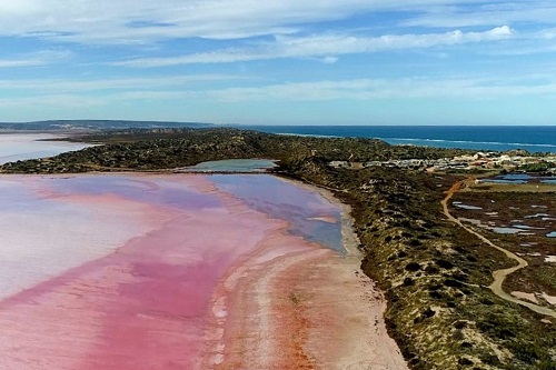 종합(pink lake 2).jpg