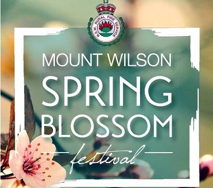 1 Mt Wilson Spring Blossom-1.jpg