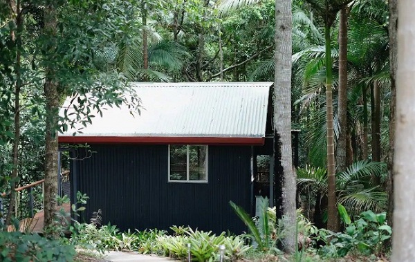 4 Rainforest Creek Cabin 3.jpg