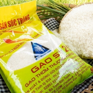 호주에서 베트남 ST24, ST25 쌀 상표 보호 성공